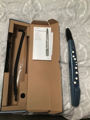 Roland aerophone 01 - aerophone, ae-01