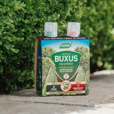 Westland Buxus Feed & Protect
