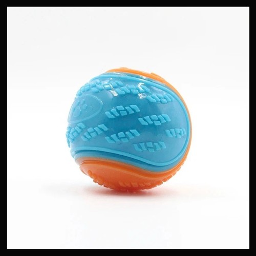 Scooby doo durable - durable, dog