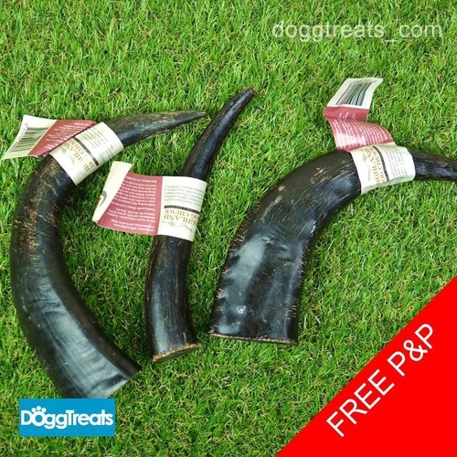 Buffalo horn dog chews - buffalo,