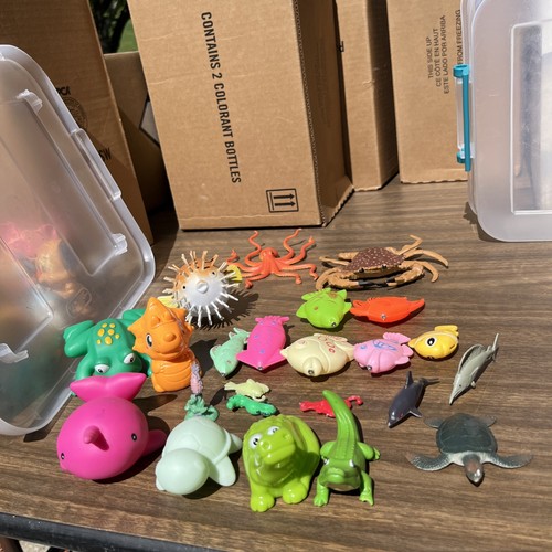 Sea creatures ocean animals - sea,