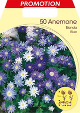 BULBI AUTUNNALI ANEMONE BLANDA MIXED CONFEZIONE DA 50 BULBI BULBS BULBES