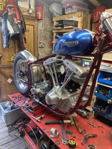 Harley triumph flat - harley,