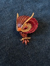 Gorgeous Red And Gold Perched