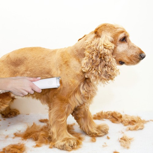 Dog grooming kit pet - kit,