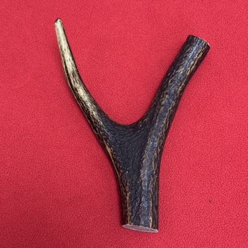 One piece deer antler - of,