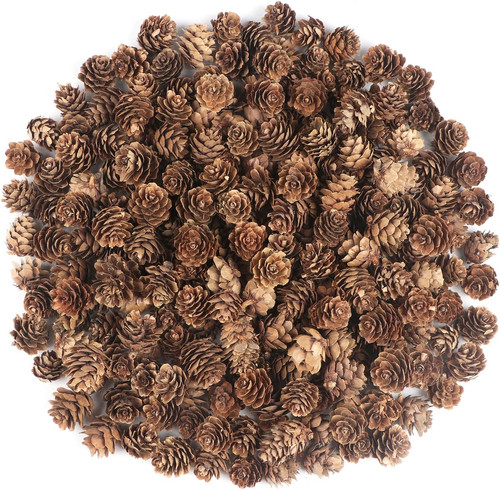 240pcs pine cones - 240pcs,