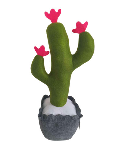 Heavy cactus door - cactus, stopper