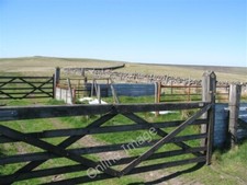 Photo 6x4 Sheep pens at Race Head West Blackdene  c2009