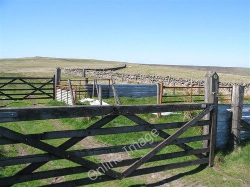 Photo 6x4 sheep pens - 6x4, at