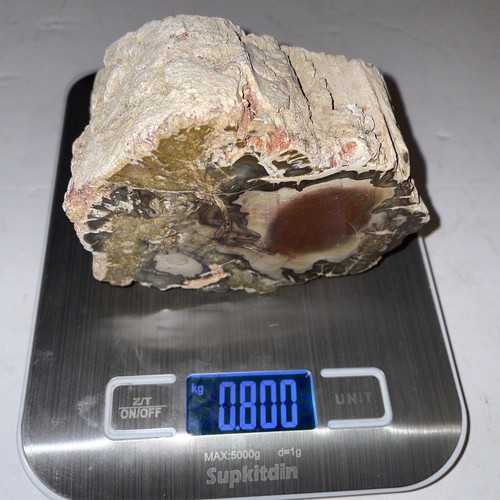 225 million year old polished - 225,