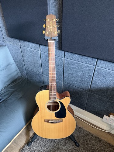Takamine series - takamine,