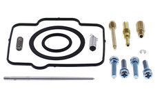 Carburetor Repair Kit All