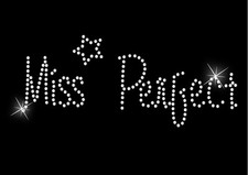 MISS Perfect Iron on Hen Night Slogan Crystal t shirt Transfer Birthday 70s 80s