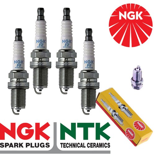 Ngk replacement spark - ngk, plugs