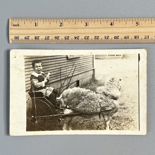 Vtg 1920s crying - 1920s, boy