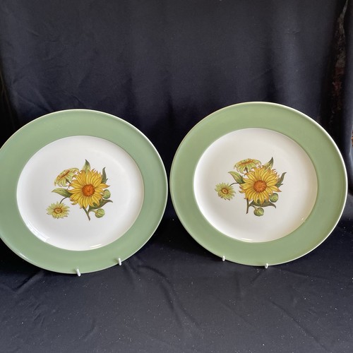 Vintage wedgwood sunflower - wedgwood, "sunflower"