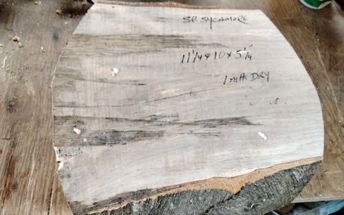 Spalted sycamore bowl blank - spalted,