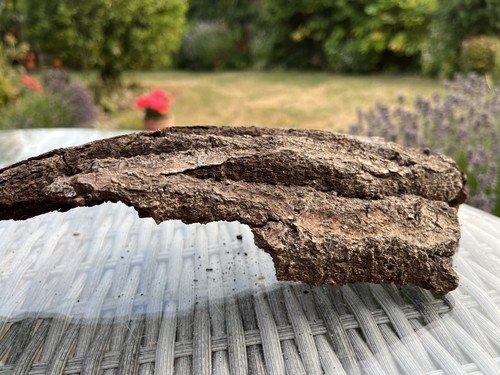 Large driftwood bark piece - 3,