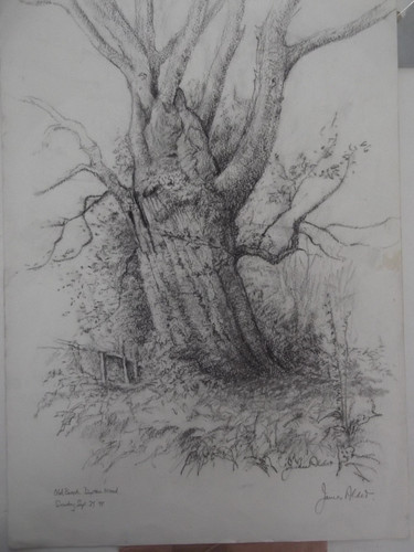 Original pencil drawing - original,