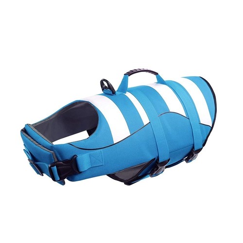 Swim boating dog - swim,