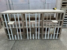 Racing Pigeon - Chicken -