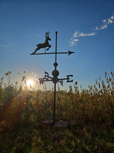 Antquie copper weathervane - copper,