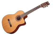 Takamine Jasmine
