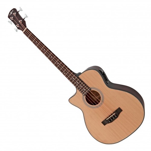 Electro acoustic bass guitar - acoustic,