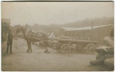 SHIRE HORSE, WORKING HORSE & CART, LUMBER YARD? - Farming Postcard, Real Photo