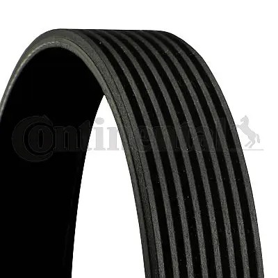 Ribbed belt fits - belt,