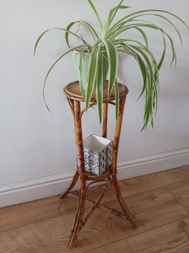 Vintage mcm 20th century - vintage, tiger