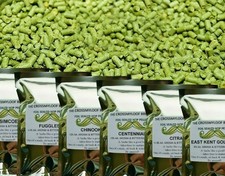 100g Hops - Citra Cascade Mosaic Galaxy Simcoe Saaz Fuggles Zappa etc Home Brew