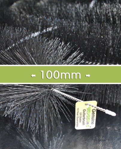 Lowest priced genuine hedgehog - priced,
