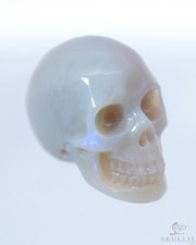 Skullis 0.9" Australian Opal