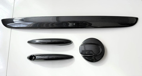 Carbon fibre door - fibre, handle