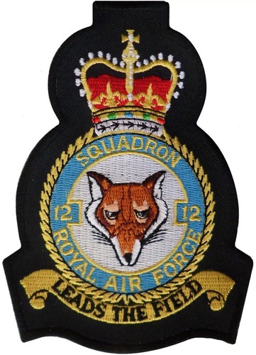 Squadron royal air - air, force