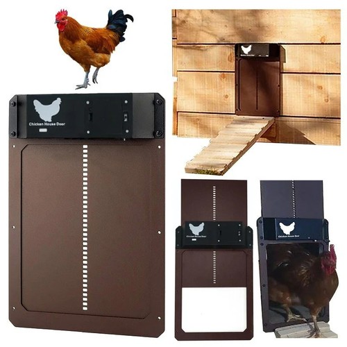 Automatic chicken coop door - coop,