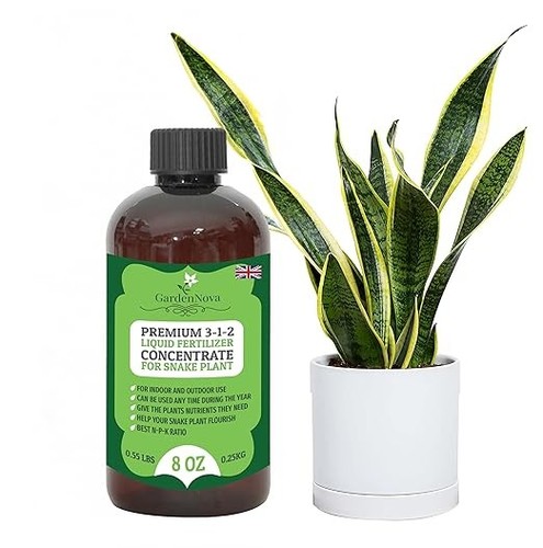 Gardennova snake plant liquid - plant,