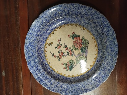 Antique spode plate - spode, plate.