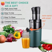 Cold Press Juicer 200W Slow Masticating Juicing Machine Squeezing Auger Squeezer