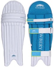 2026 Newbery Cricket Pulse