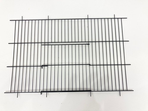 Budgie home bird - budgie,