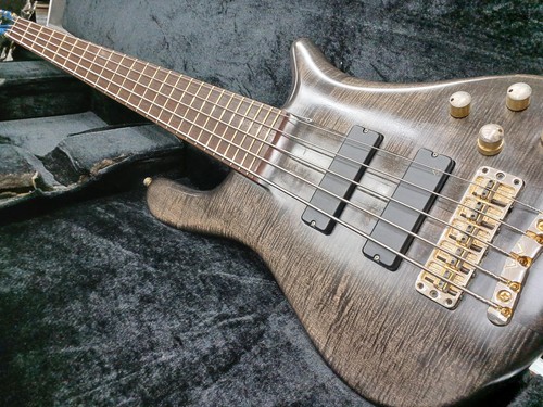 Warwick streamer stage - stage, i
