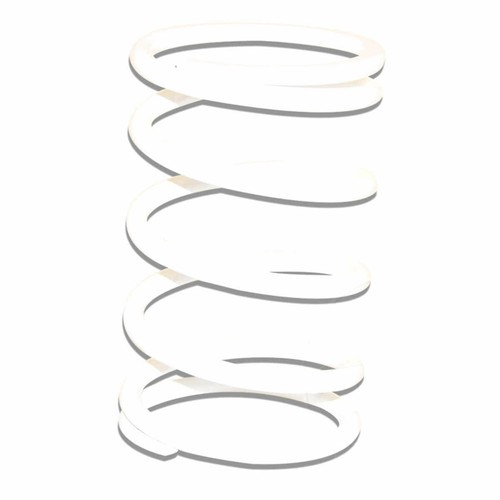 White malossi variator spring - malossi,
