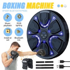 SMART PUNCHING BOXING