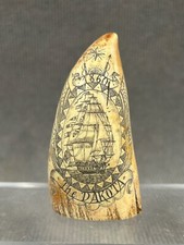 Sperm Whale Scrimshaw Nautical Faux Tooth " THE DAKOTA - NANTUCKET "