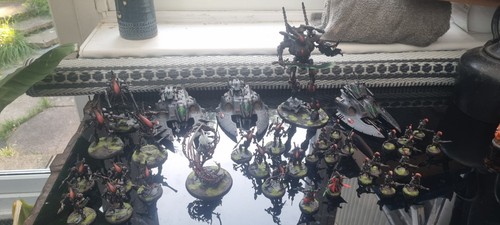 Aldari army pro painted - army,