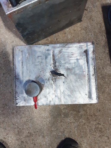 Alloy fuel tank - fuel, race