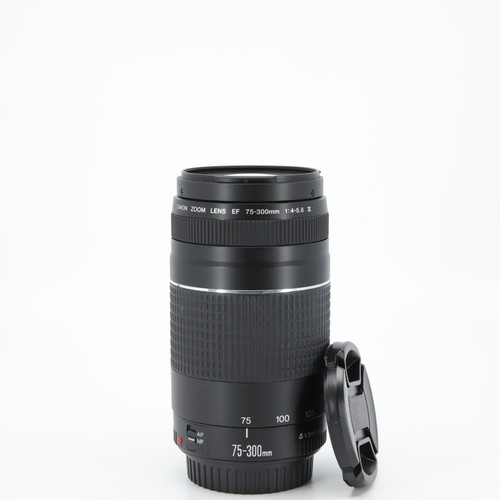 Canon 300mm 5 6 iii - 75-300mm,